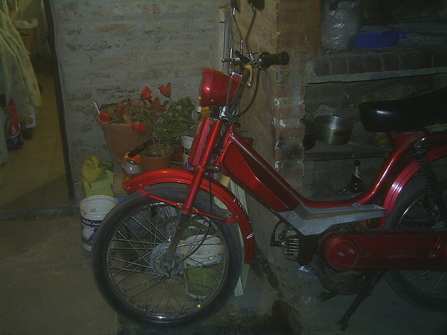 PIC_0081 PIC_0081