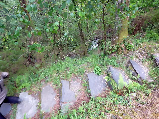 DSCN3388 DSCN3388
