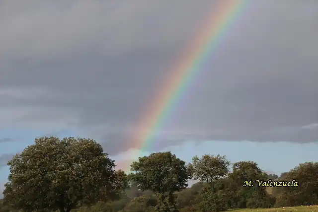 32, arco iris izqda,  marca