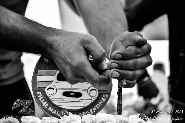 DSC_0241 DSC_0241