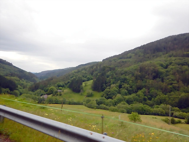 DSCN3406 DSCN3406