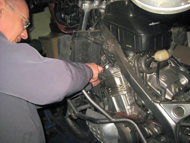 IMG_2496 IMG_2496