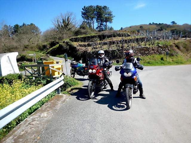 DSCN5118 DSCN5118