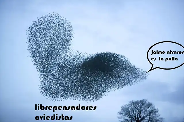 librepensadores