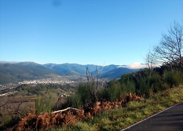 DSCN1530 DSCN1530