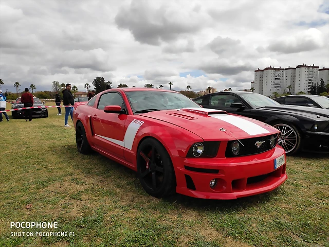 IMG_20190406_135323 IMG_20190406_135323