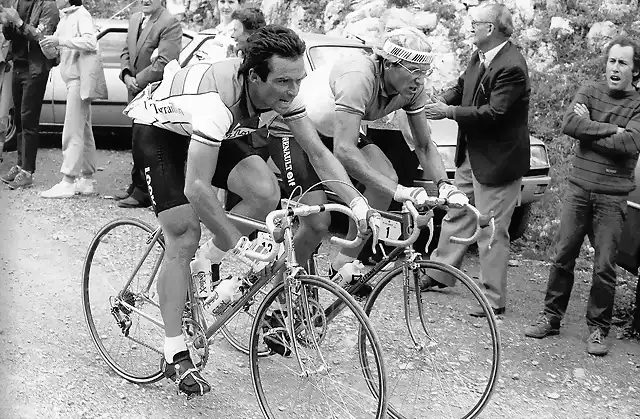 Tour1984-Hinault-Fignon
