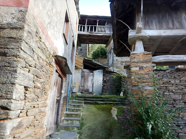 DSCN0970