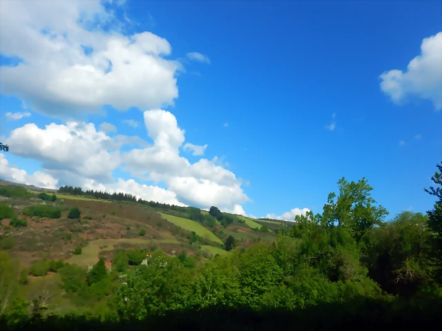 DSCN4894 DSCN4894