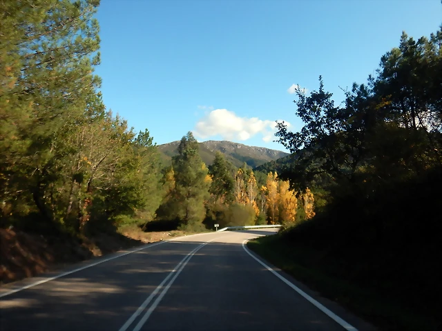 DSCN1590 DSCN1590