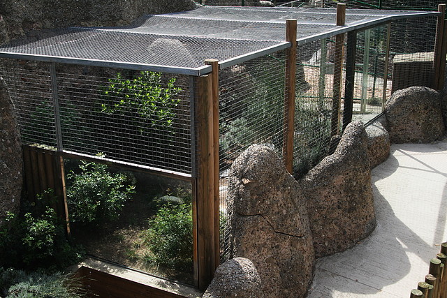Zoo de Barcelona 15-09-2010 148 Zoo de Barcelona 15-09-2010 148