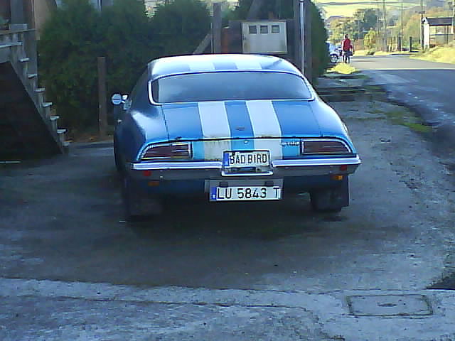 Pontiac Firebird 1970 culo