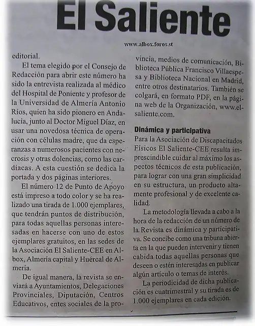 revistaelsaliente1dq8