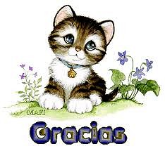 GRACIAS-GATITO GRACIAS-GATITO