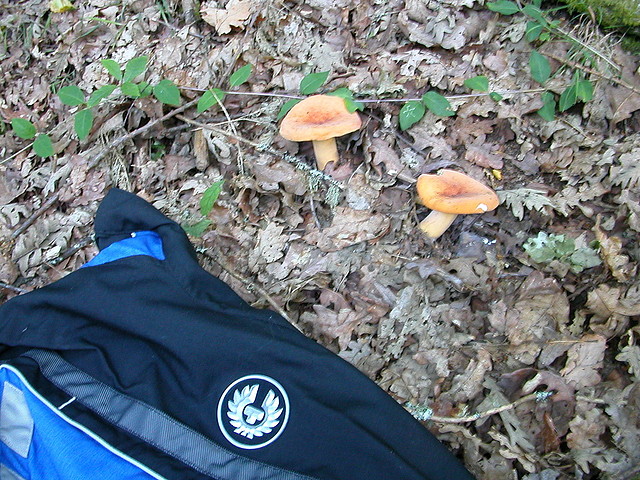 DSCN2460 DSCN2460