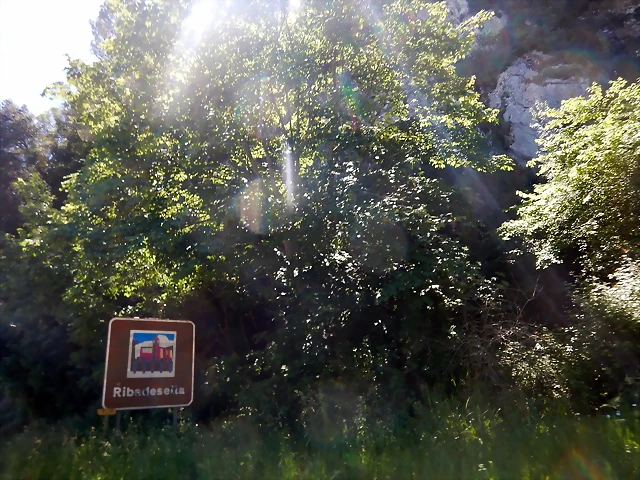 DSCN3016 DSCN3016