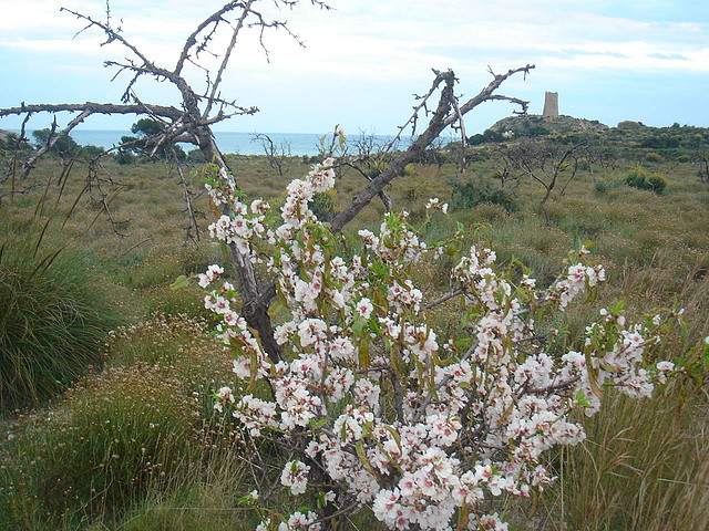 Charco y casa 008