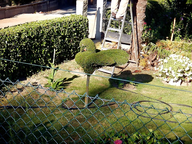 DSCN4242 DSCN4242