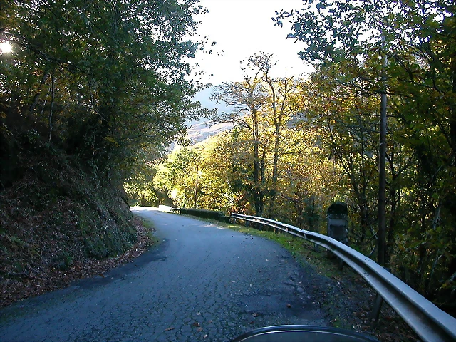 DSCN6461 DSCN6461