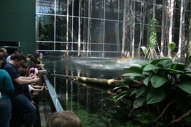 CosmoCaixa 06-03-11 i Zoo de Barcelona 07-03-11 173 CosmoCaixa 06-03-11 i Zoo de Barcelona 07-03-11 173