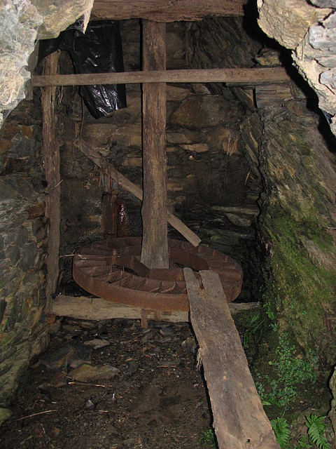 IMG_1573 IMG_1573