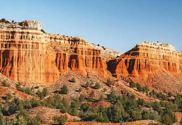 Caon_Rojo-teruel