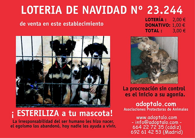 CARTEL_LOTERIA CARTEL_LOTERIA
