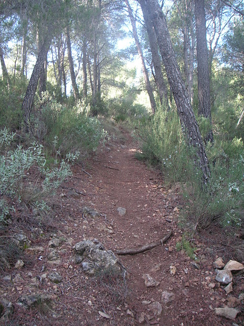 sendas olocau 028