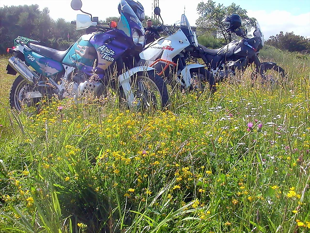 DSCN0713 DSCN0713