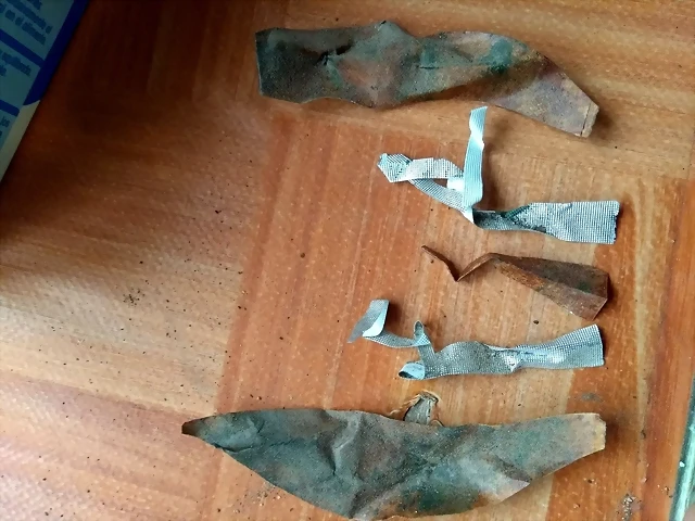 pluma inocentes 2 pluma inocentes 2