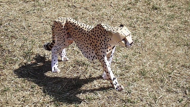 Cheetah (papercraft) by Pendragon