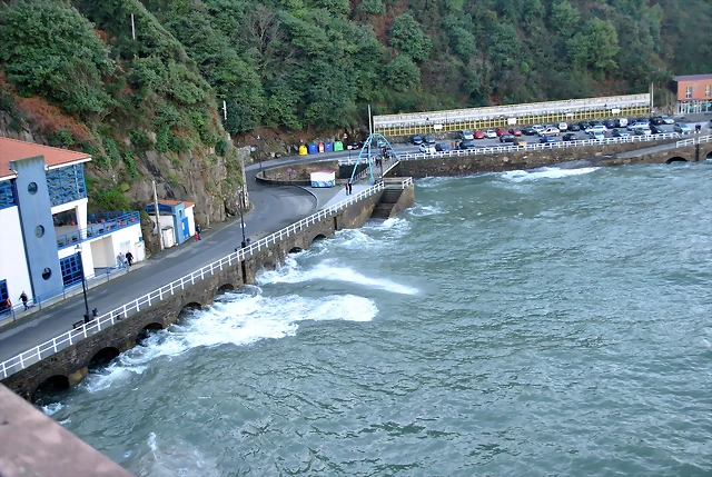 DSC_0665 DSC_0665