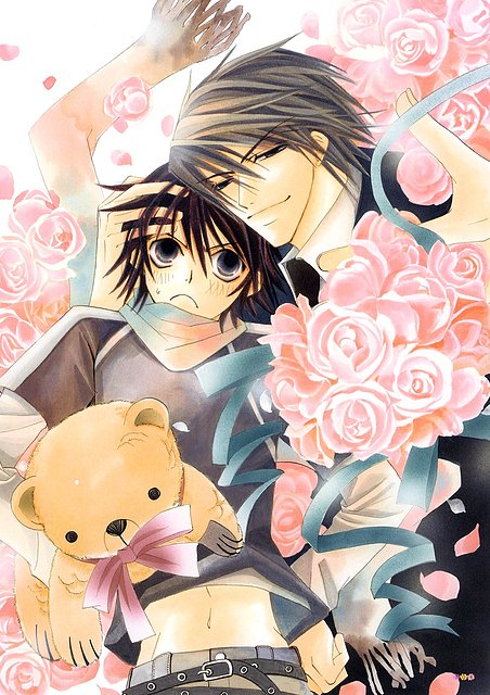 Misaki Takahashi & Akihiko Usami [Junjou Romatica]