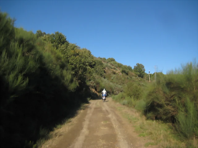 IMG_0824 IMG_0824