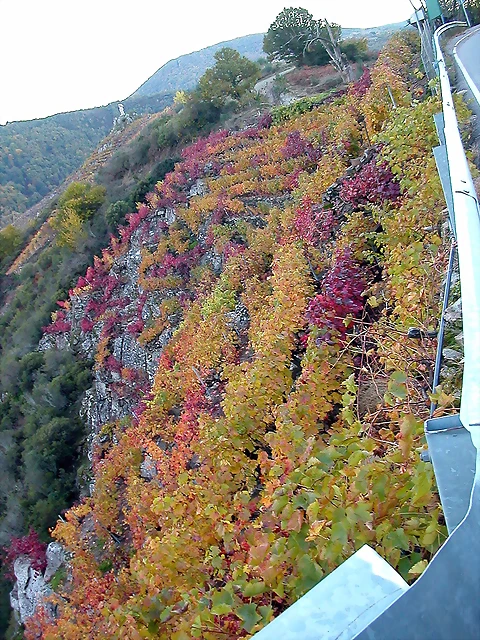 DSCN6572 DSCN6572