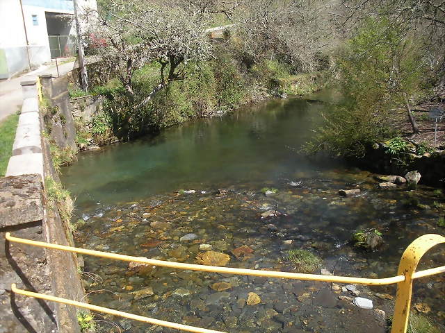 DSCN3978 DSCN3978