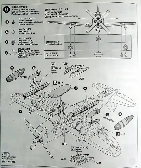 SDC10017