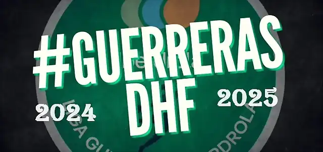 DHF 24-25