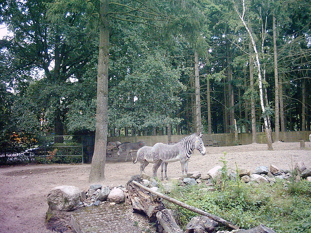 PIC03546 PIC03546