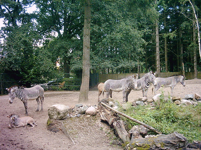 PIC03562 PIC03562