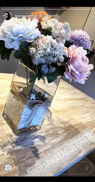 Mar?a IG Stories 2-8-2019 (1)