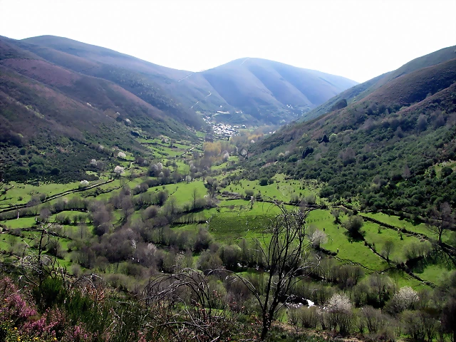 DSCN9621'5 DSCN9621'5