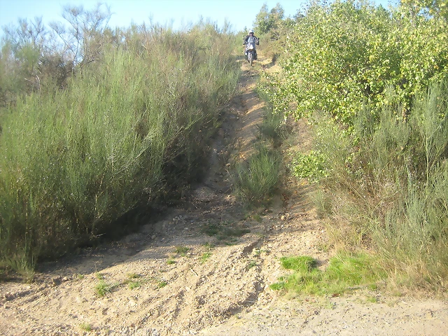 IMG_0683 IMG_0683