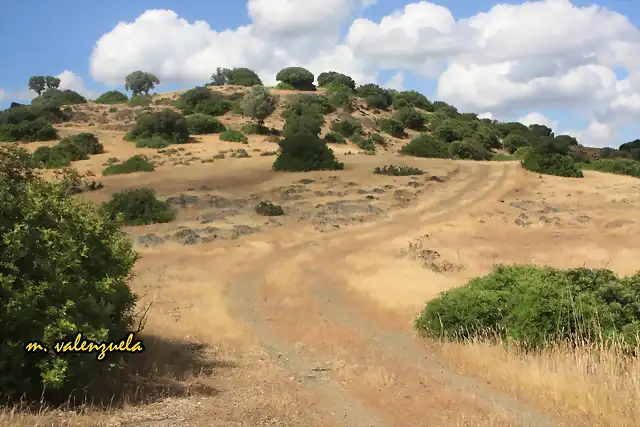 05, SUBIENDO AL CERRO DEL GORGORITN, MARCA