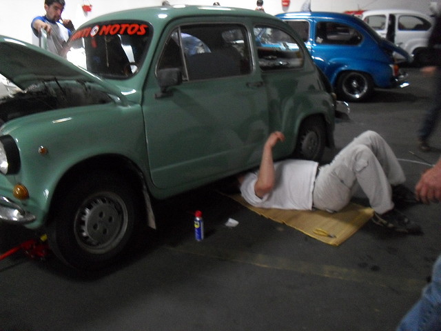 SDC14019 SDC14019