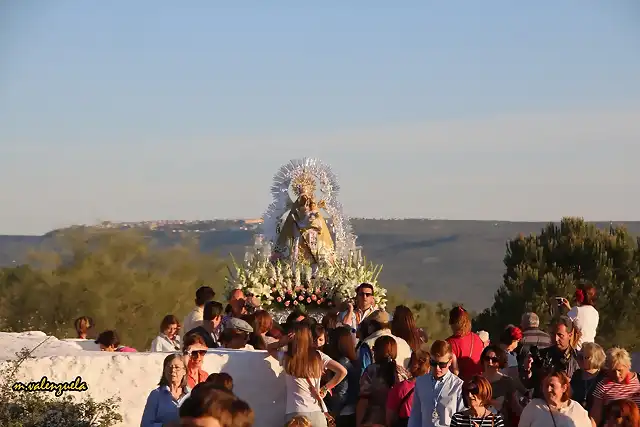 13, la virgen en el rosal, marca