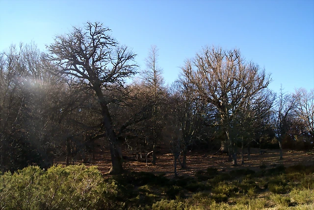 DSC03253 DSC03253