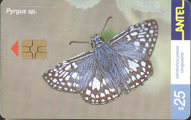 MARIPOSA04