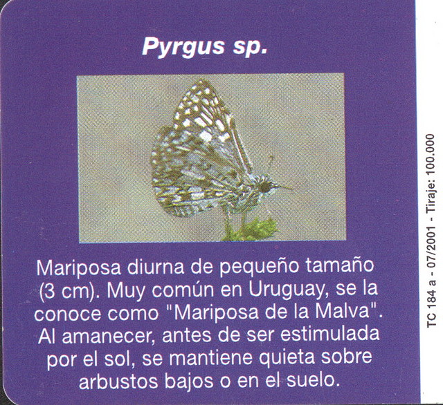 MARIPOSA004