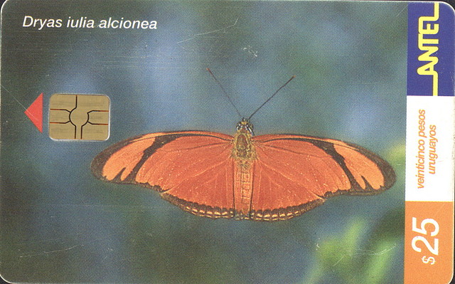 MARIPOSA05